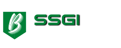 SSGI for Business