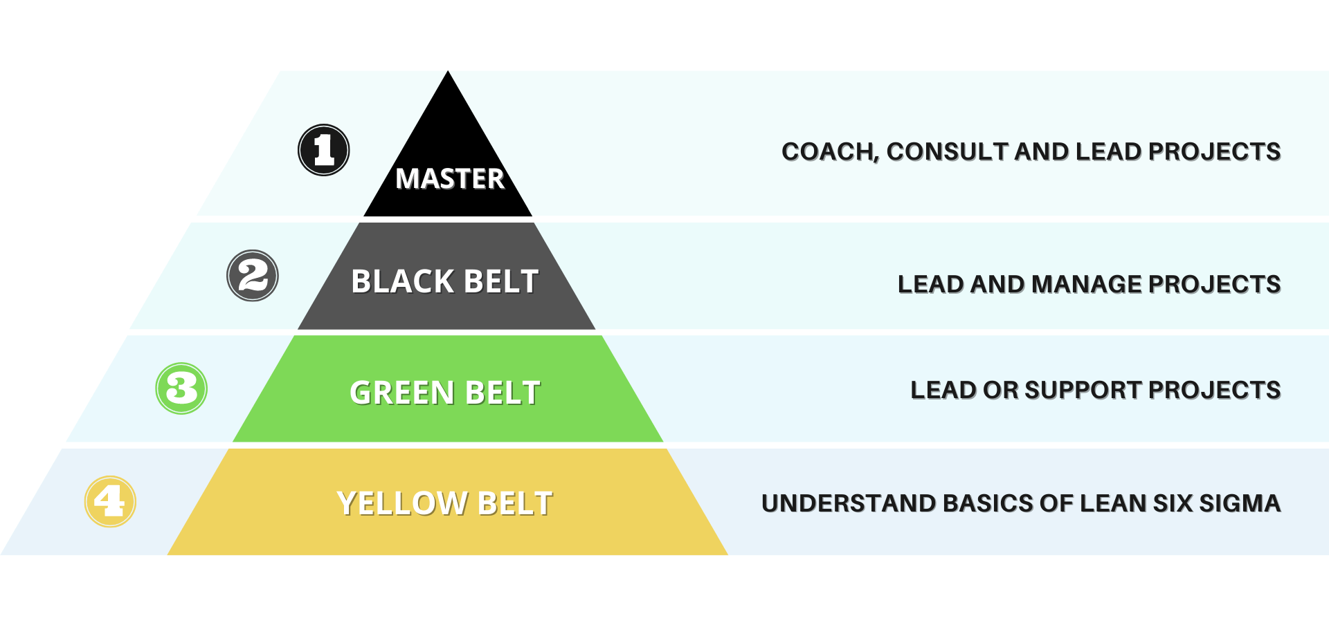 Six Sigma Belts - Which Lean Sigma Belt Should I